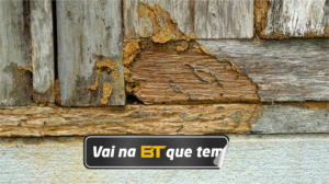 Madeira comida por cupins e outras pragas, com trilhas e furos resultantes da ação das pragas.